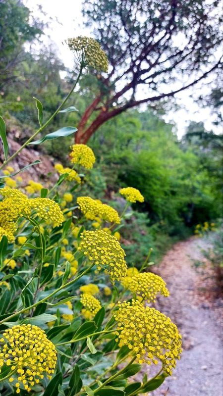 ��������� (�������) ����� - ����� ���������� ������� �� ������� � ������ ������ � 7 ��