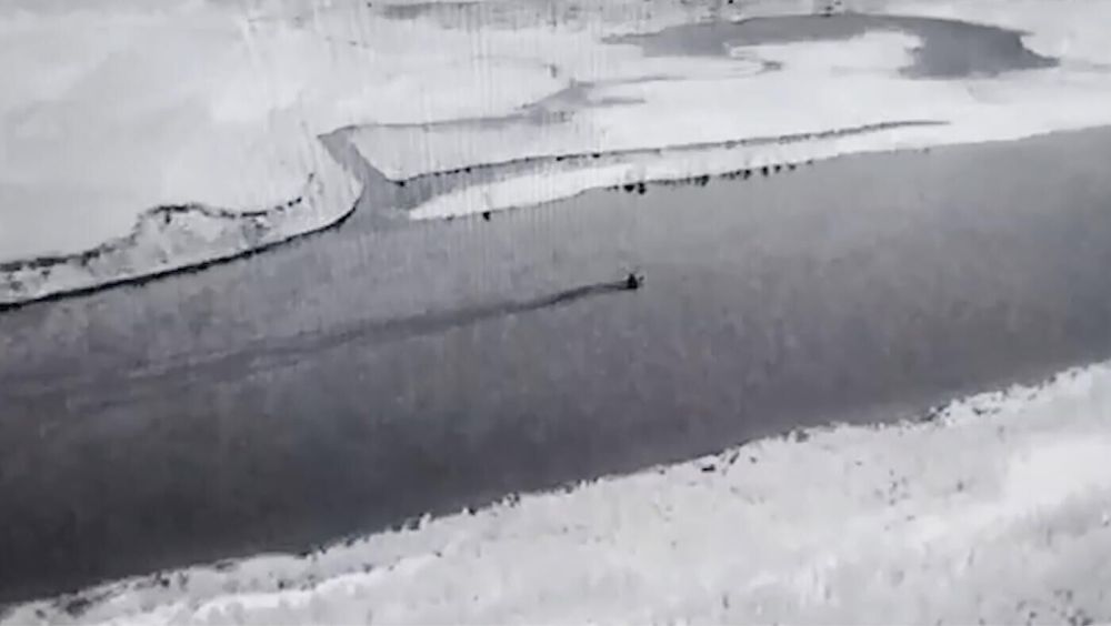 ������: � ���������� ������� �������� ������� ���������� ������ ����������� ���