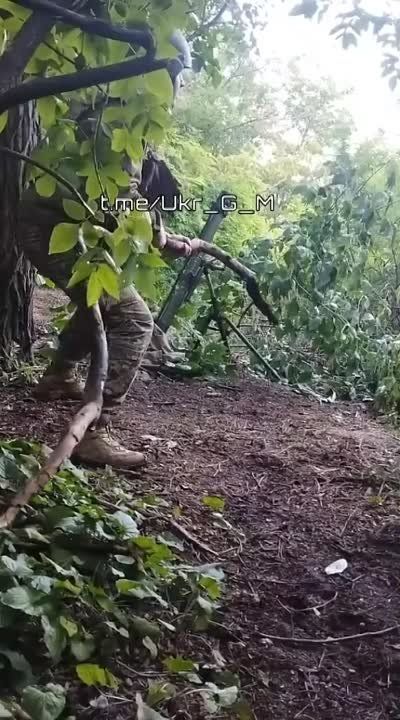 ������� �����, ����������� �������