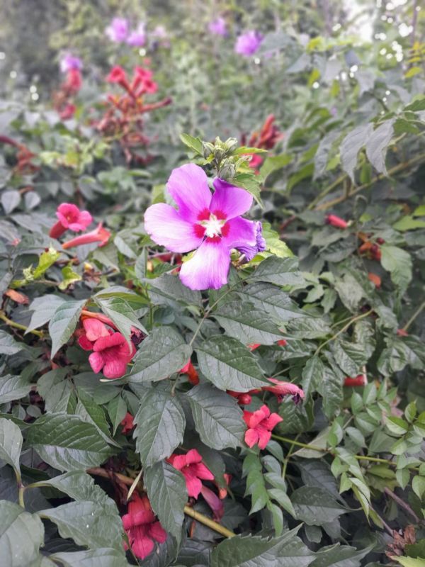 � ������ �����, �����������!