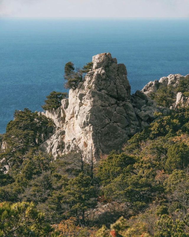 ������� �����-��� � ����������� ����� ����������� � ��������� ����� ���������� ������ � ����������� ��� ����� ����� �� ��� �����