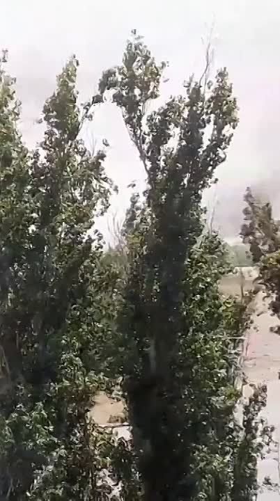 � ���������� ��������� ����� �� �������� �������