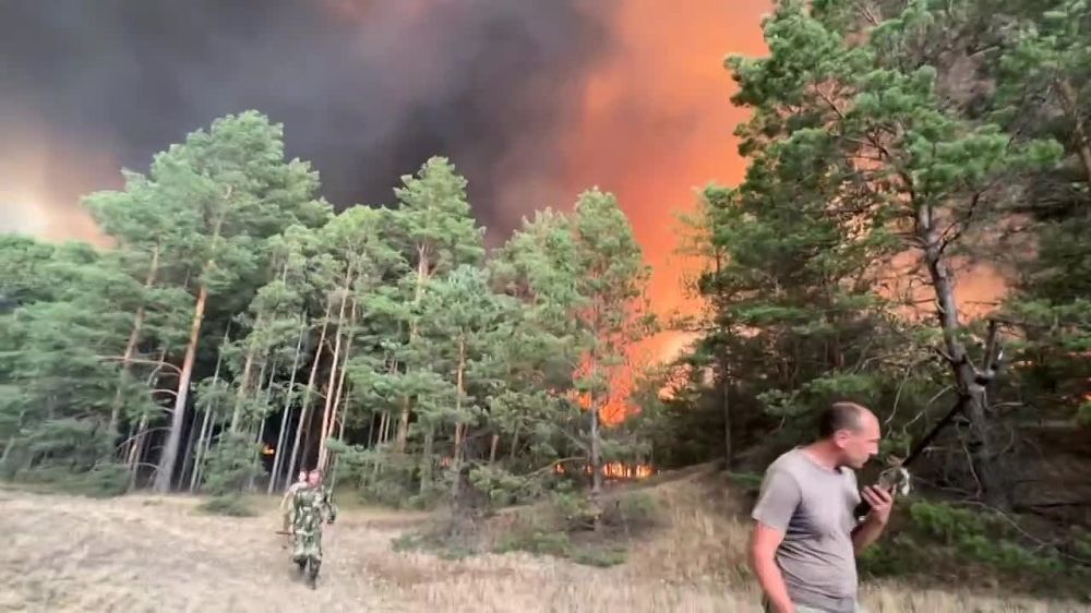 � ���������� ������� ������� ������