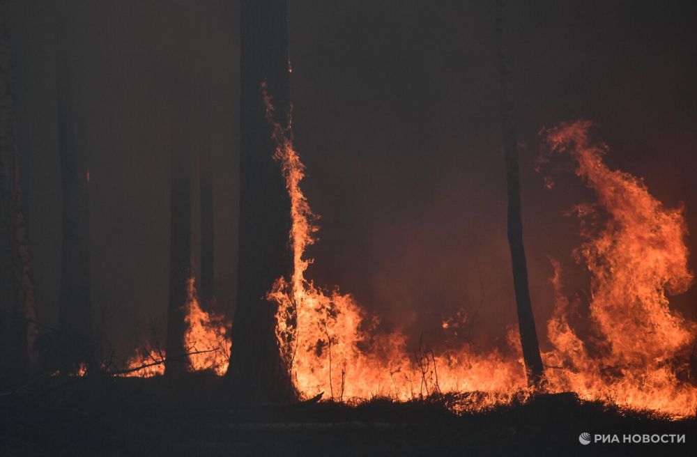 � ���������� ������� ������ ���� ����� ����� ���� ������ ������� ��-�� ���� ���