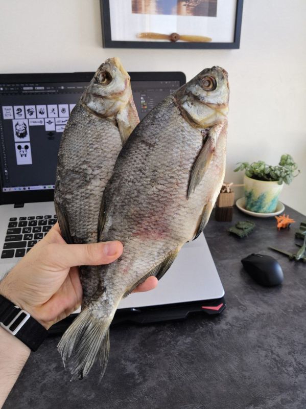 ������, �������