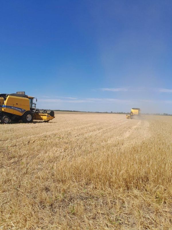 � ���������� ������ ������������ ������ ������