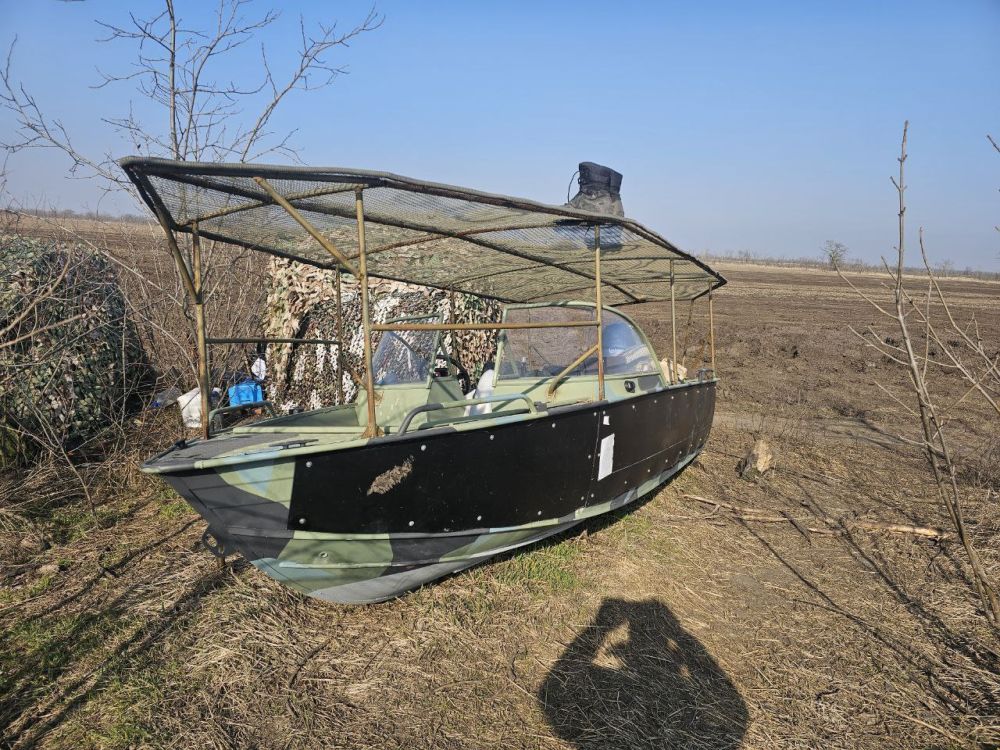 �����, ��������, ���������