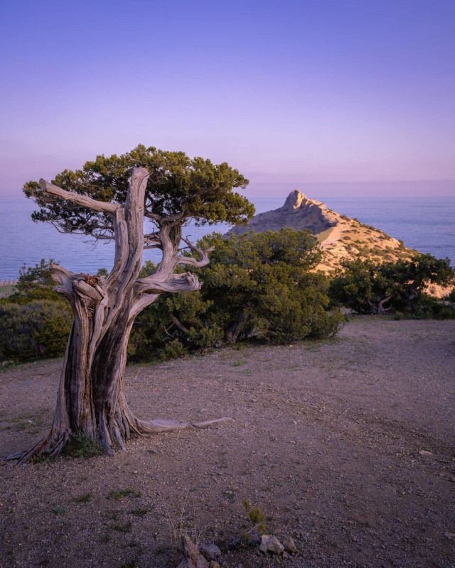 ������������ ���� � ��� ������