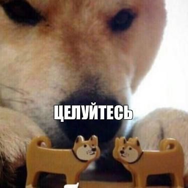 ���������� �����, ����� � ���� �������!