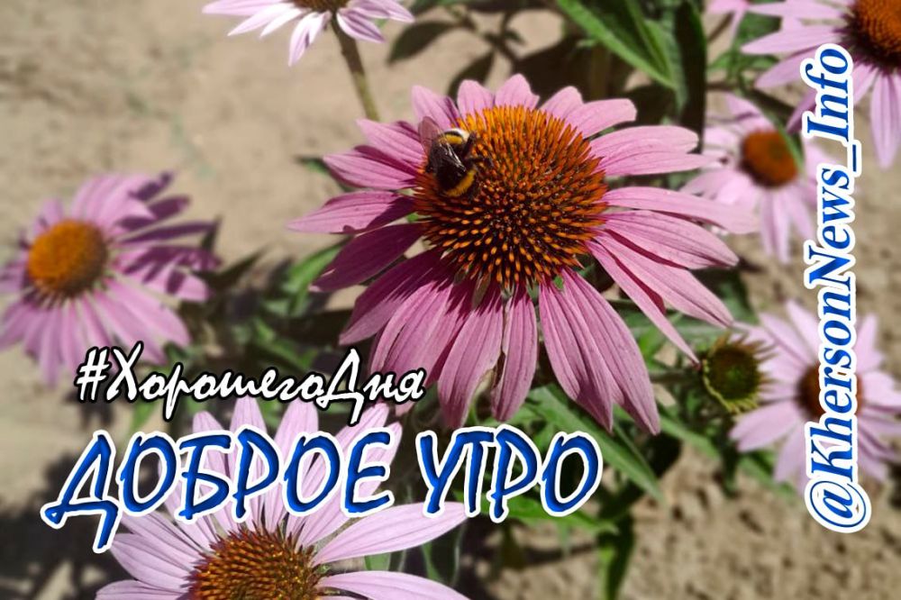 ������ ���� �������, ������!