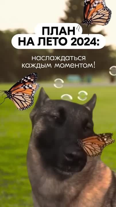 � �� ������ ������������������ �� ������������� ����� ����������� ��������� ��������!