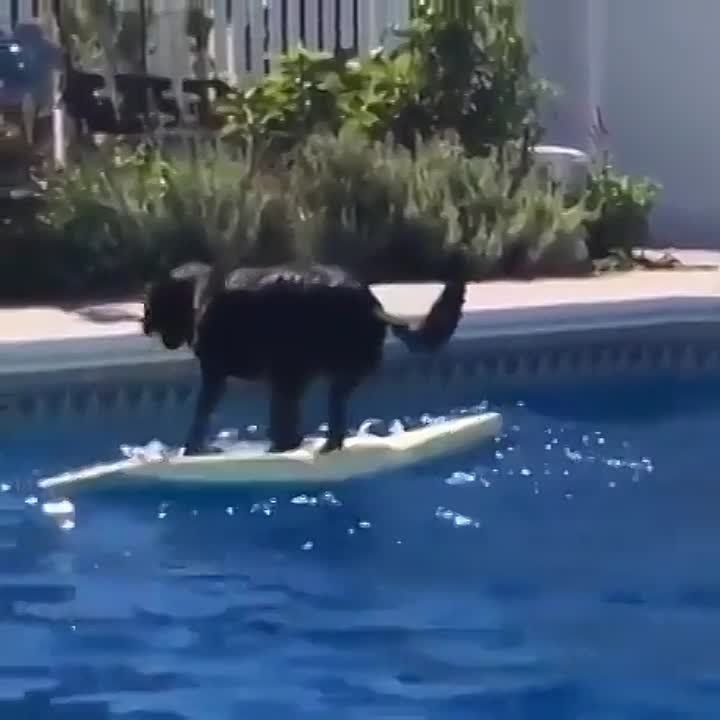 ������� �� �������...������ �� ������� ����� �����, �� ������ ������� ��������� ��� �����������, ��� ���� ������