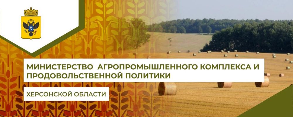 ������ ���������� �� ������� �������