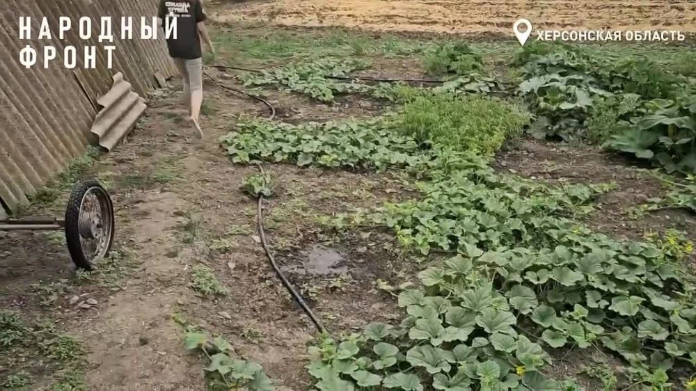 � ���� ���������� �������� �������� ����