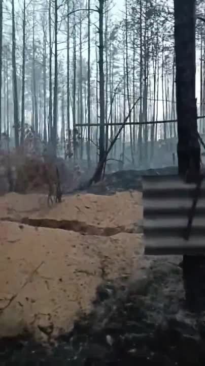 ����� ����������� ������� � ���������� �������, ���������� ����������