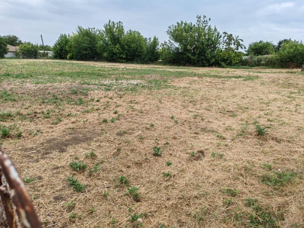 � ���� ����������-2 � ����������-1 �������� ������ �� ��������� ������������� ��������