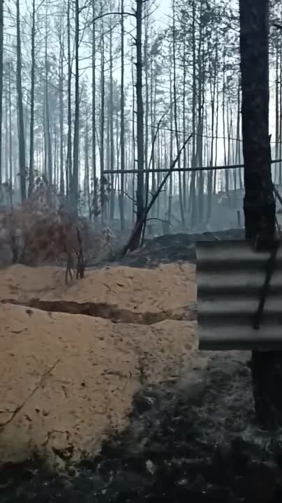 ��� ������: ���������� �����������, ��� �����: