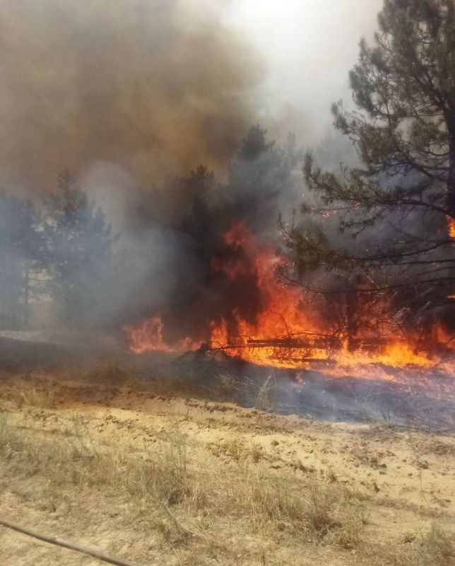 ���������� ��� ������������� 3 ������� ������ ������ � ��������������� �������������� ���������