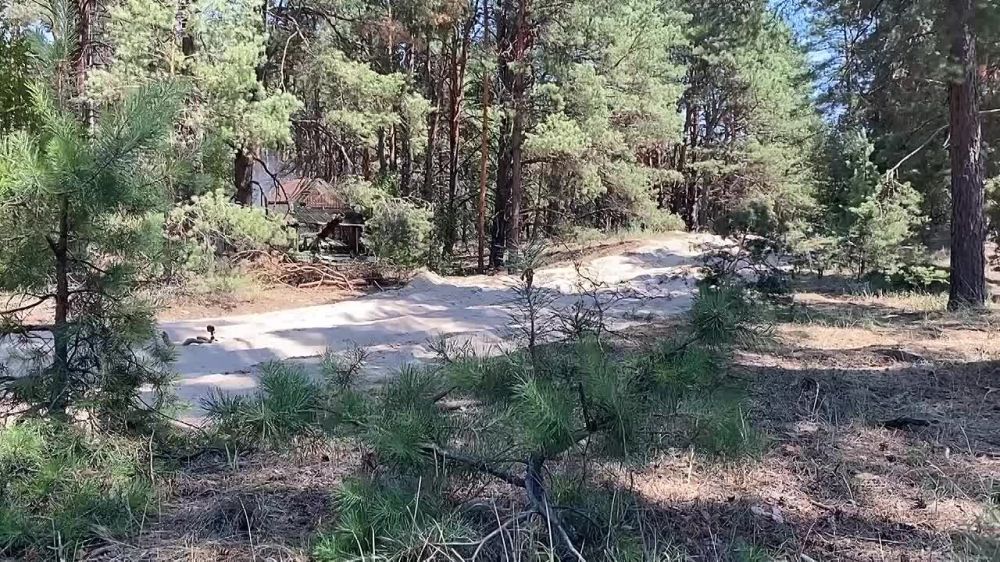 ����� ����������� ������ � ��������� ��� ���������� �������������� ����� ��� �� ������ ������ ������