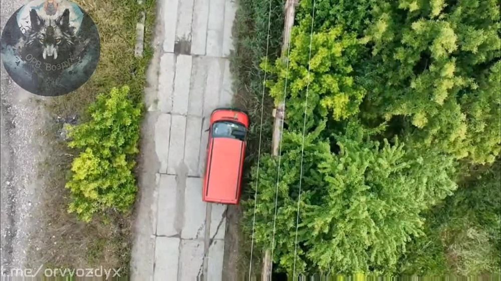 ���������� �����������. ����������� ������� ��� ��������