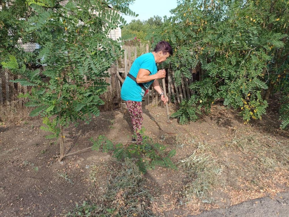 "���� ������ ���" ������ � ����������