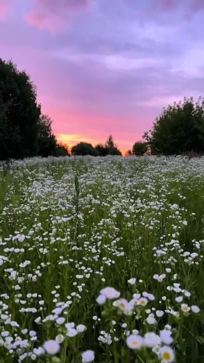 ������ ������ ����� ������������