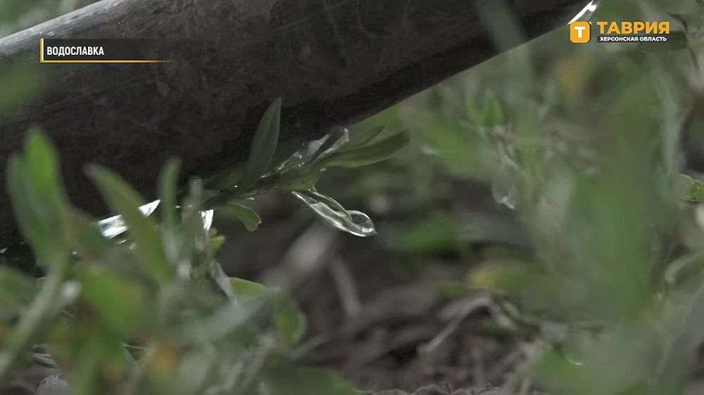 �������� ����� � "������������" ������ �������� ������������� � ����������