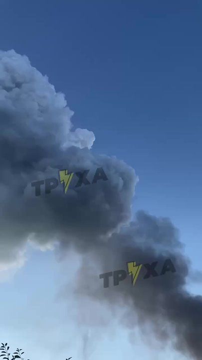 ����� ������ ����� ������� �� ������������ ������� � ���������� �������