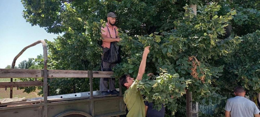 ���������� ������������� ��������� �������� ���� ����� ����