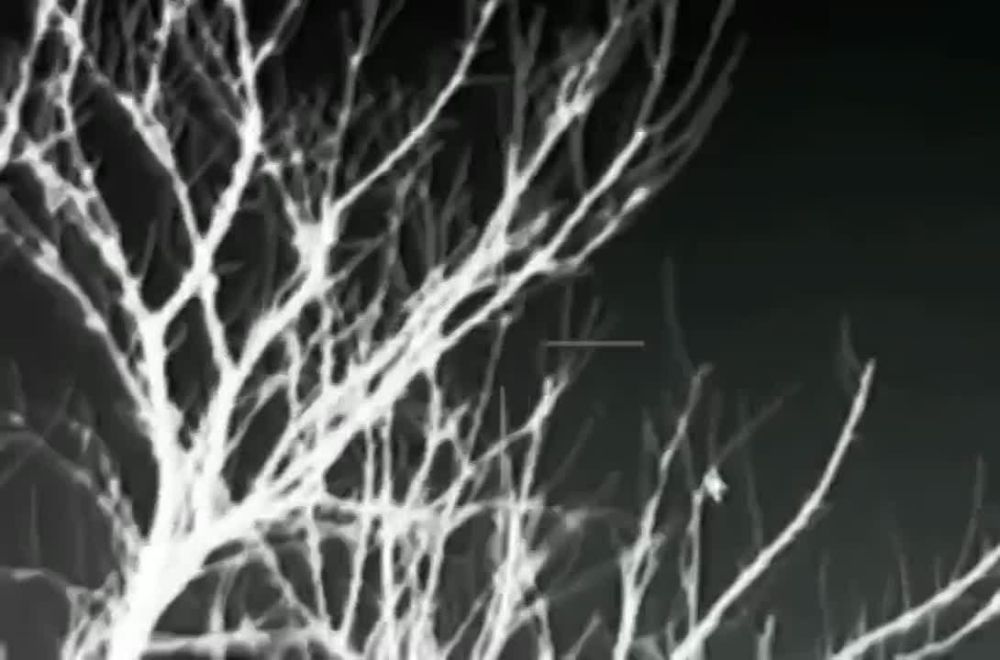 �������� ��������� �������� ����������� ���������� ������ ������-���������������� ���� "���� ���"