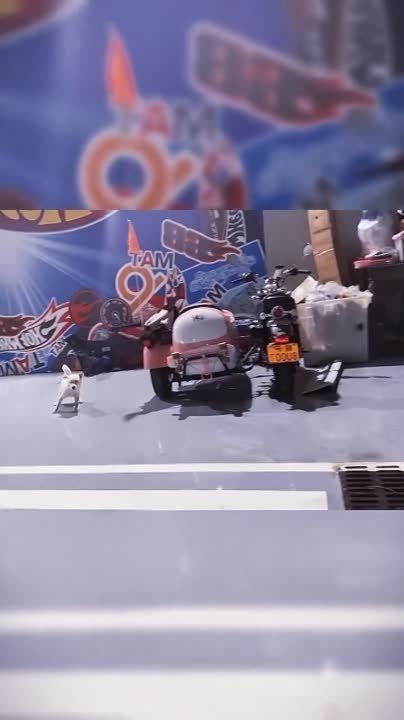 ��������� ����! ��������-����� ���������� �������