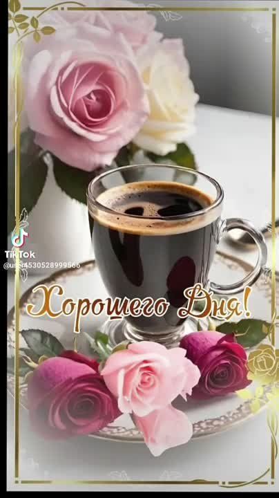 ������ ����. ������� � ������� � ������ ���� ������ ����� �����, �� � ������ ���� ��������� ��������. ��� �������. ����������� �� +23 ����� �� +38 ���