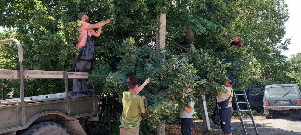 ��� �� "���������� ������������� ��������� �������� ���� ����� ����