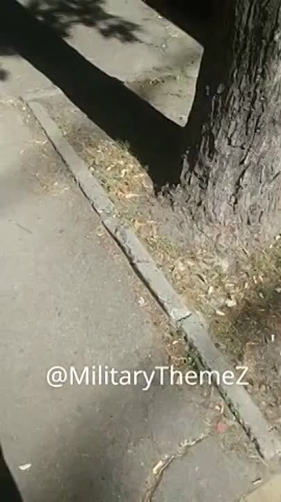 ������������ �����. ������ ��� ������� ��������, ��������� � ���� ������ ��� � ������