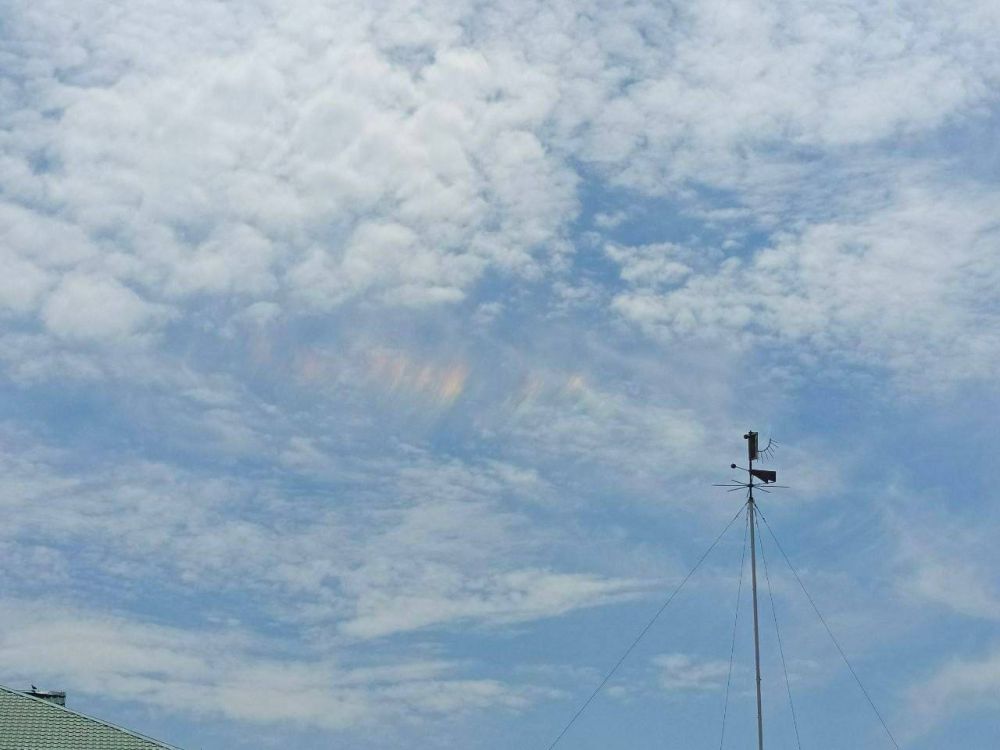 � ��������� ���� �������� ������ ��������� �������