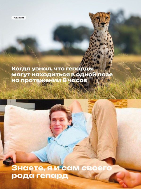 � ��� ���� ������ �� ������