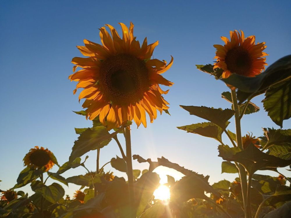 � ������ �����, �����������!