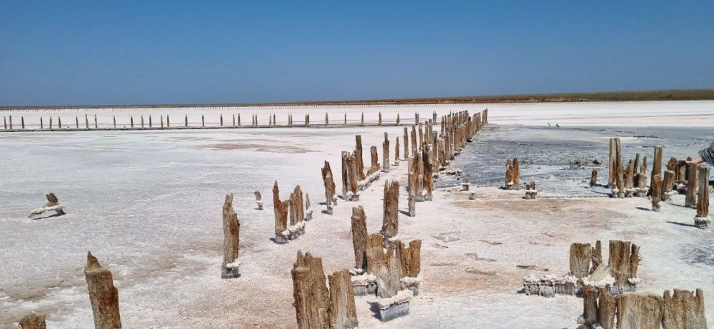 ���� ���������� ���������� �������� ���� � ����� ������� �� ���������� ������� ����������