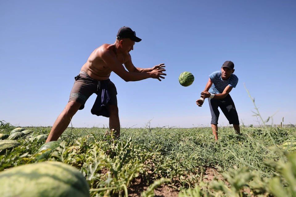 � ������� ����������� ��������� ��������� �������� �� 70 ���� �������