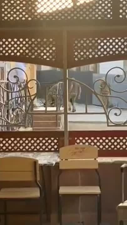 ������� ����������� ������� � �������� �� ��-������� ��������