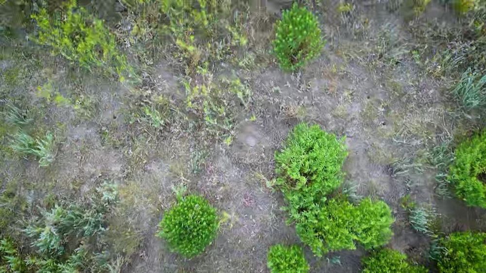 ���������� ���� ����� � ������ ����� �� �������� ���������