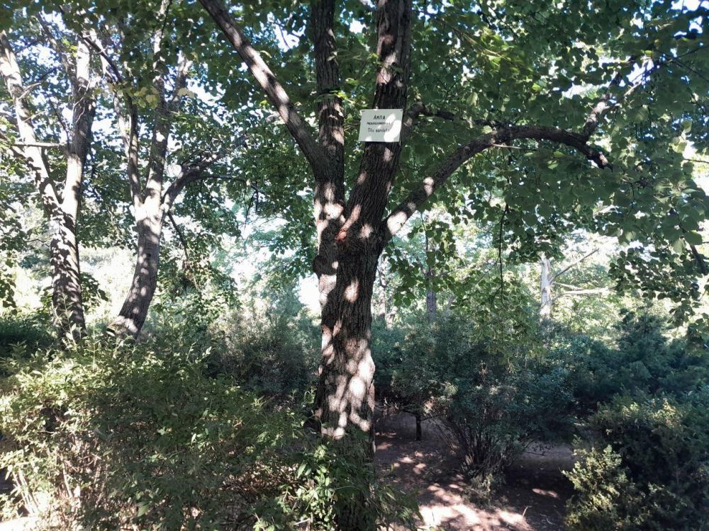 ��� �� "������������ ������������� ���������" ��������� � ���������� � ������������ ������ ��������