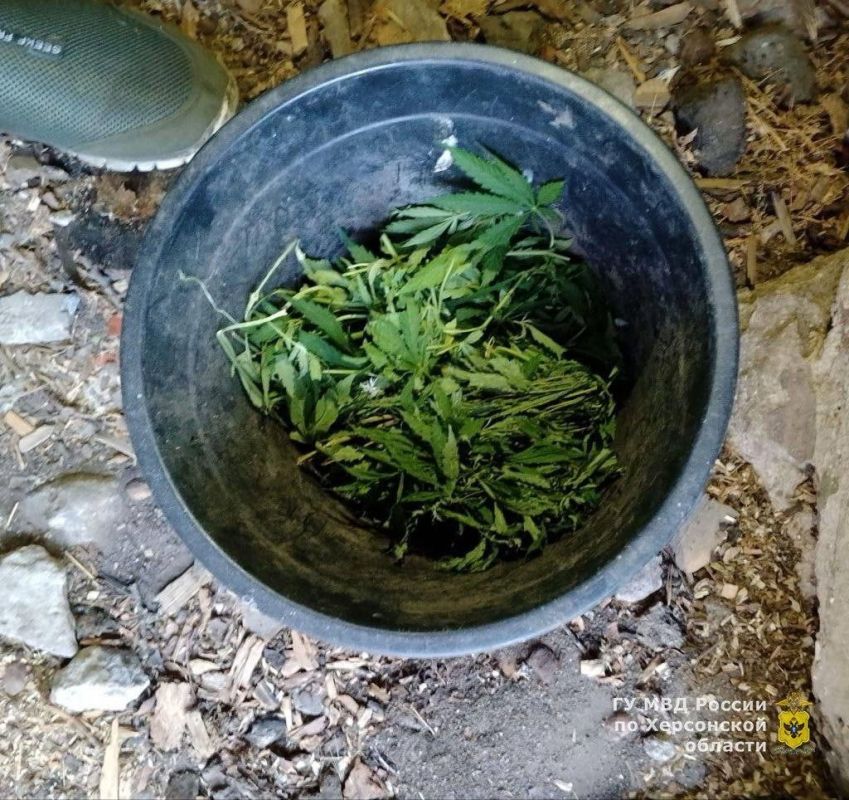 � ���������� ������� ���������� ������� ���������� ��������� � ������������ �������� ������