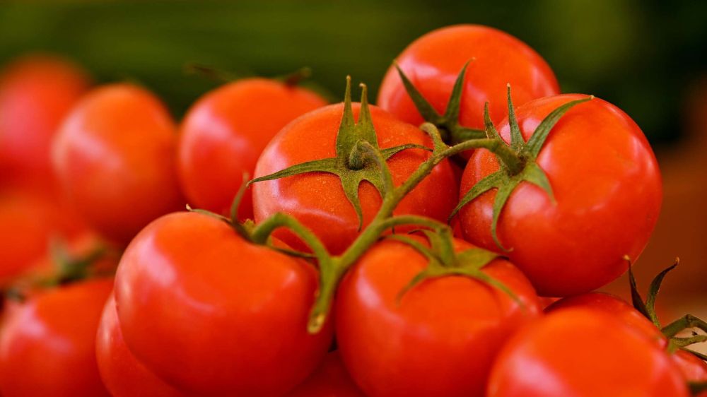 ������� ���������� �������� ������������� ������ � ���������� �������