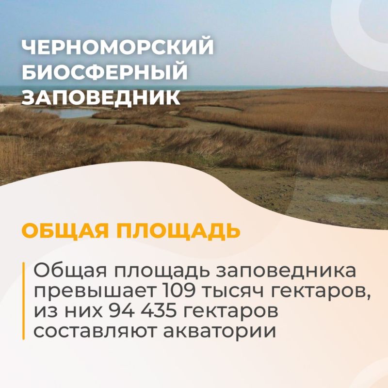 ������� ������� ����: ������������ ���������� ����������