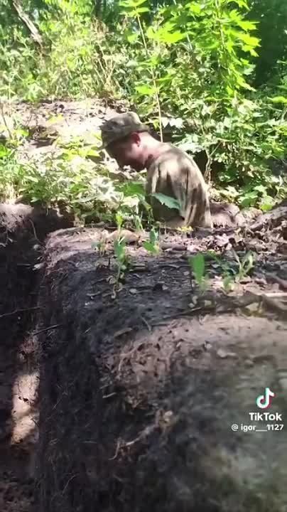 ������� ���, ����!. ���� ������ ���� ����������, � �� ���� �������� ������