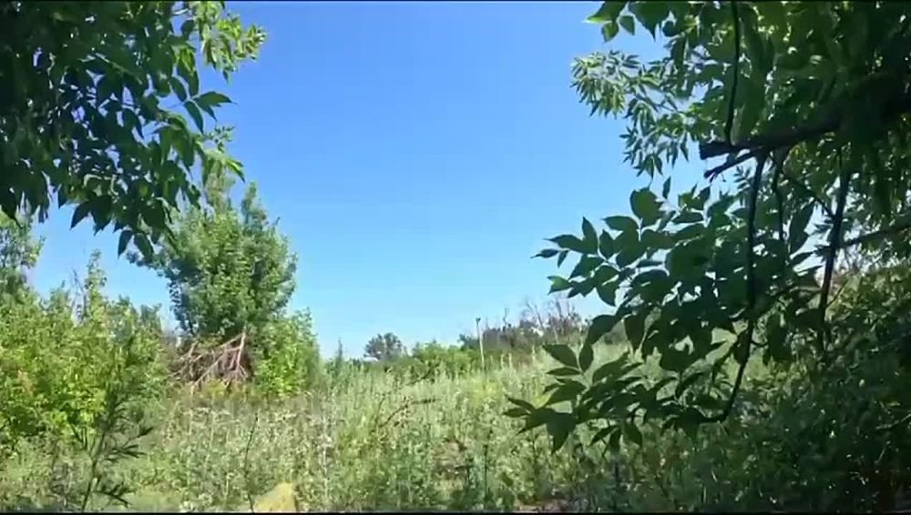 ������������� �� �� ���������� ���������� fpv-���� �� ����������� ������