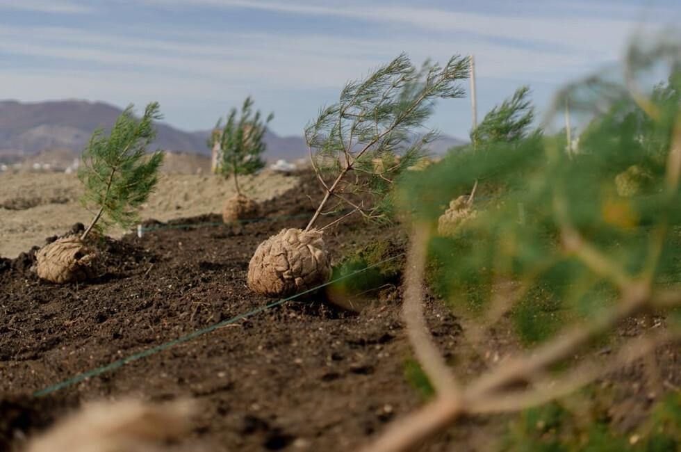 � ���������� ������� ��������� ������� ����