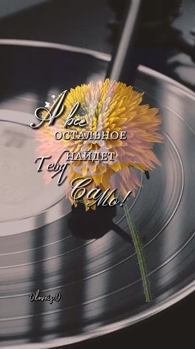 ������ ����. ������� �� ���������� ����� ��� ������ � ������� ����� ���������. ��� �������. ����������� �� +25 ����� �� +39 ���