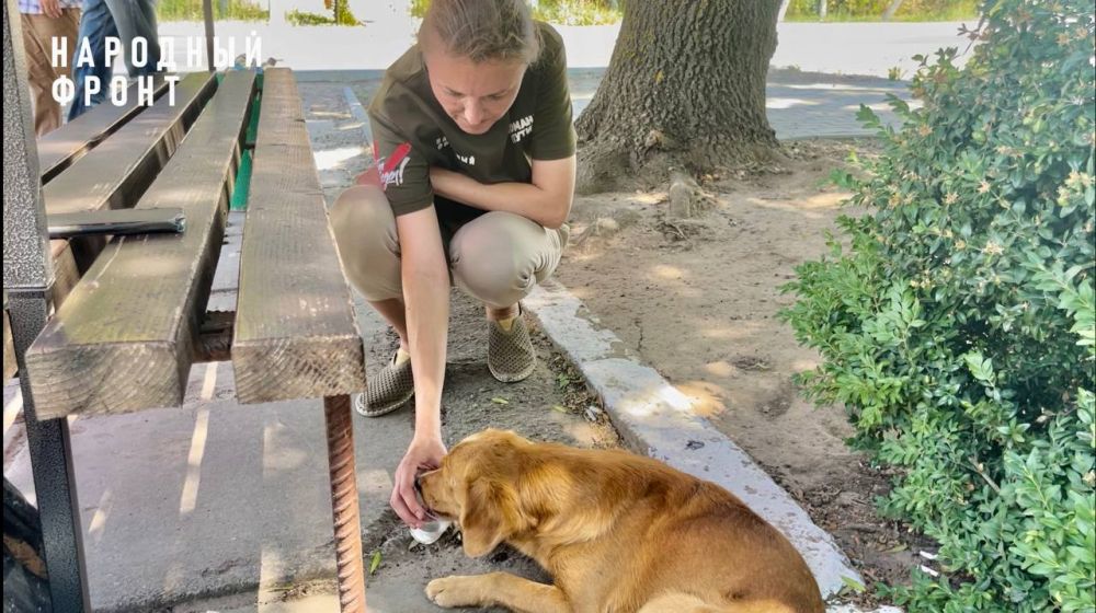 � ���������� ������� �� ����������� ������ 40 ��������